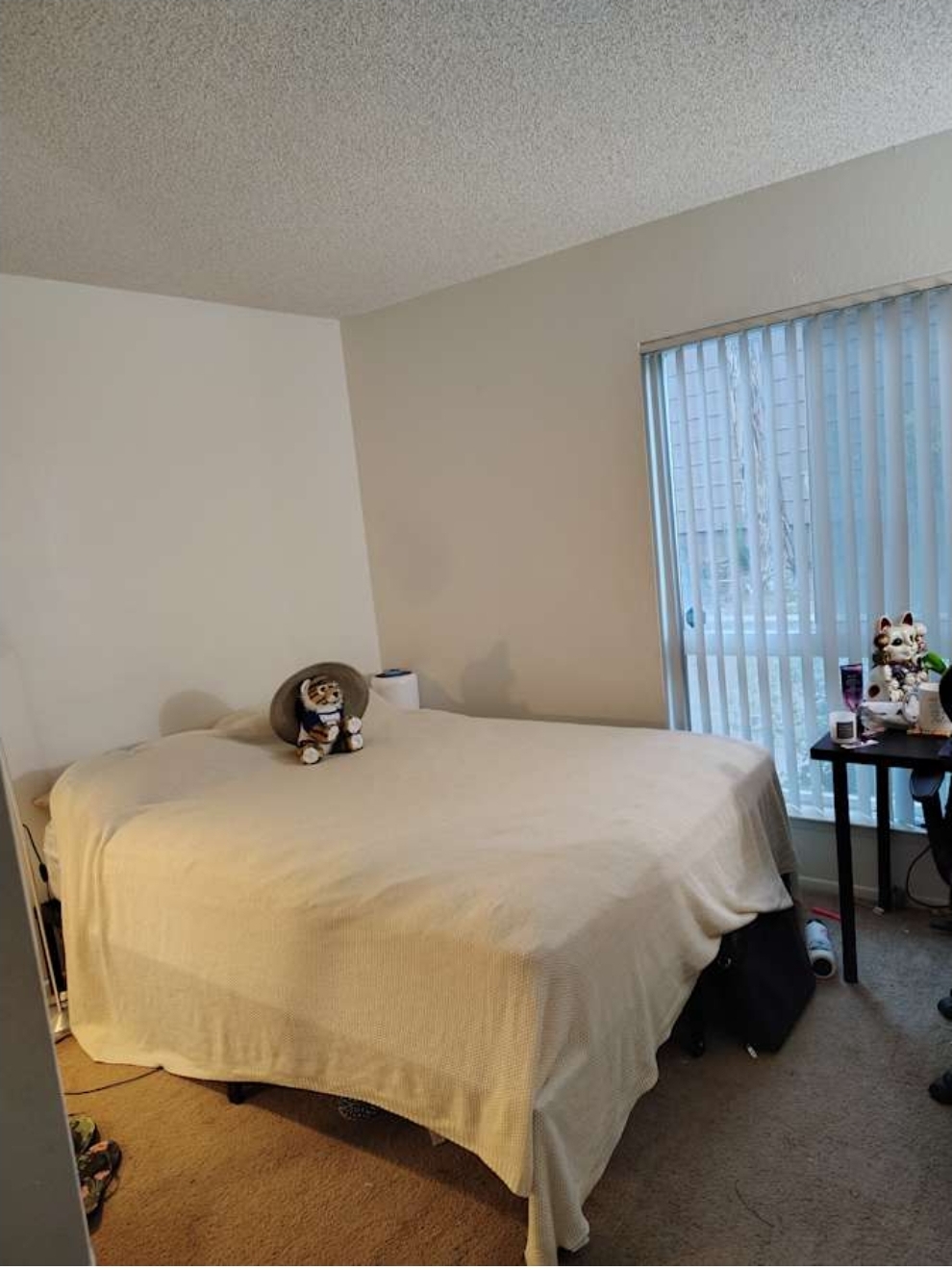 Riverside Room for Rent